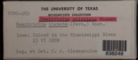 Image Associated With the Occurence